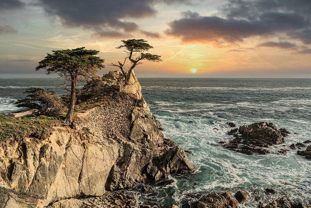 17 - MILE DRIVE  (Lone-Cypress) - KALIFORNIEN