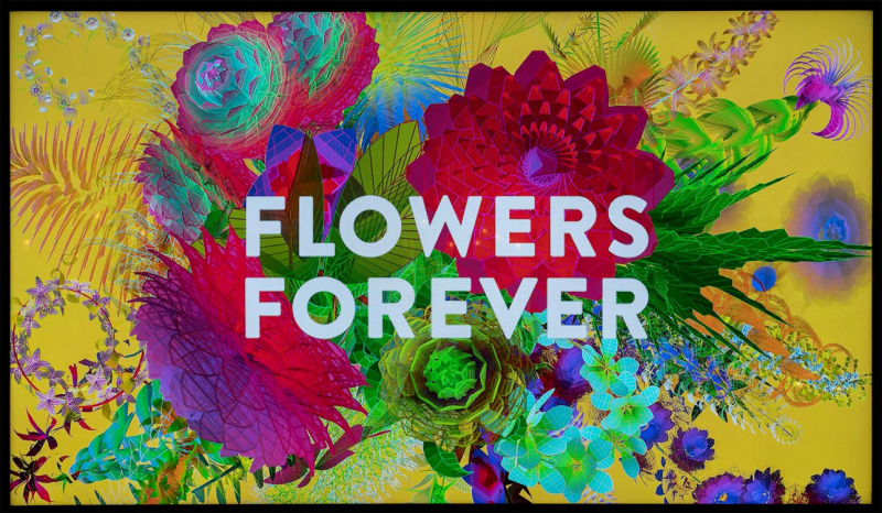 Flowers-09-a-