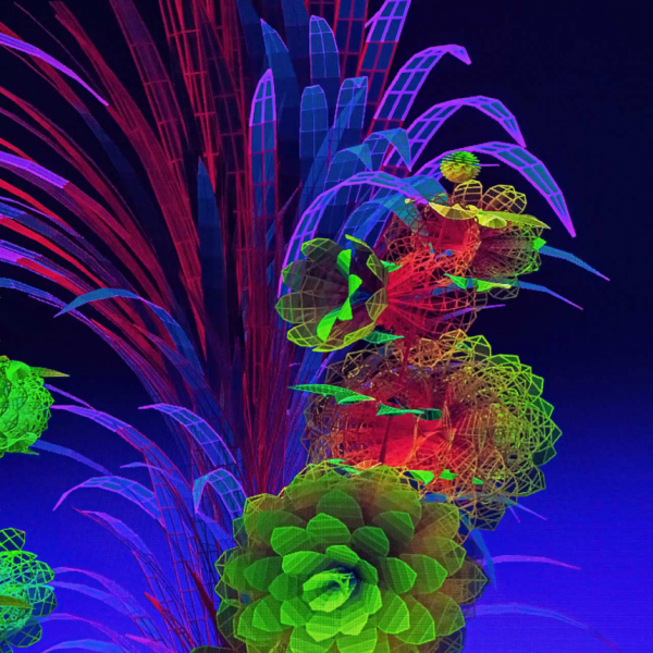 Flowers-17-