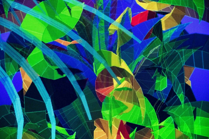 Flowers-20-