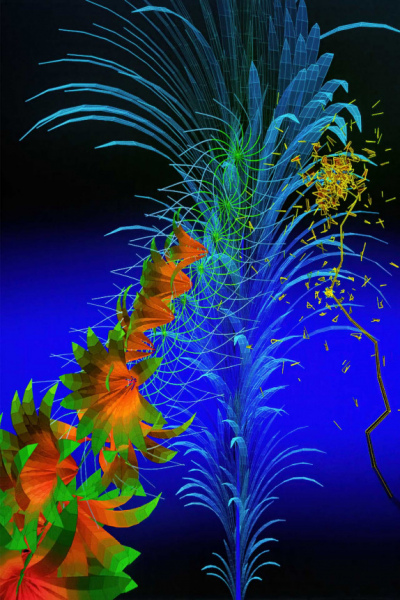 Flowers-40-