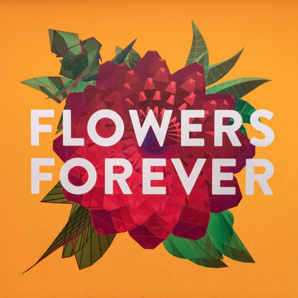 Flowers-60-