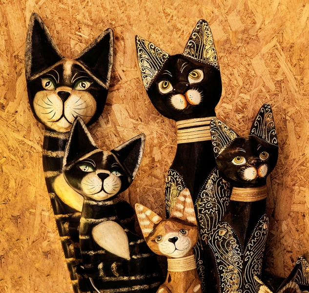 Katzen-1-