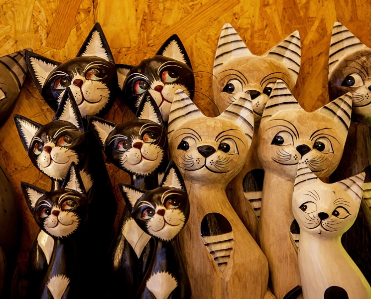 Katzen-2-