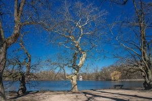 Nymphenburger Park 3