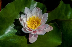 05-1