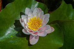 MG_6869.-a-