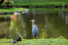1_MG_8090-