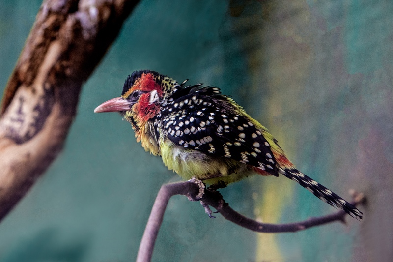 MG_8047-
